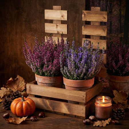 Skrzynka Drewniana z Płotkiem Brązowa 34x21x47 cm Kwietnik i Baza Prezentowa | GoodFreshDecor