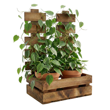 Skrzynka Drewniana z Płotkiem Brązowa 34x21x47 cm Kwietnik i Baza Prezentowa | GoodFreshDecor